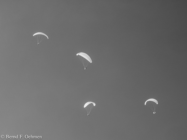 x-bfo-200922OMIR1704.jpg