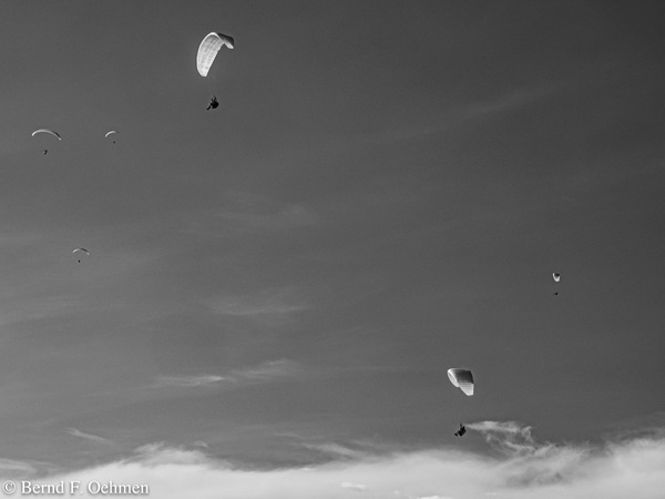 x-bfo-200922OMIR1756.jpg