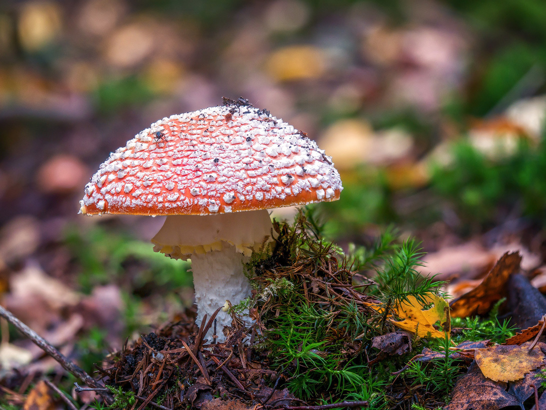 2020-10-25 15-54-53 (B,Radius5,Smoothing4)-2 - 1.jpg