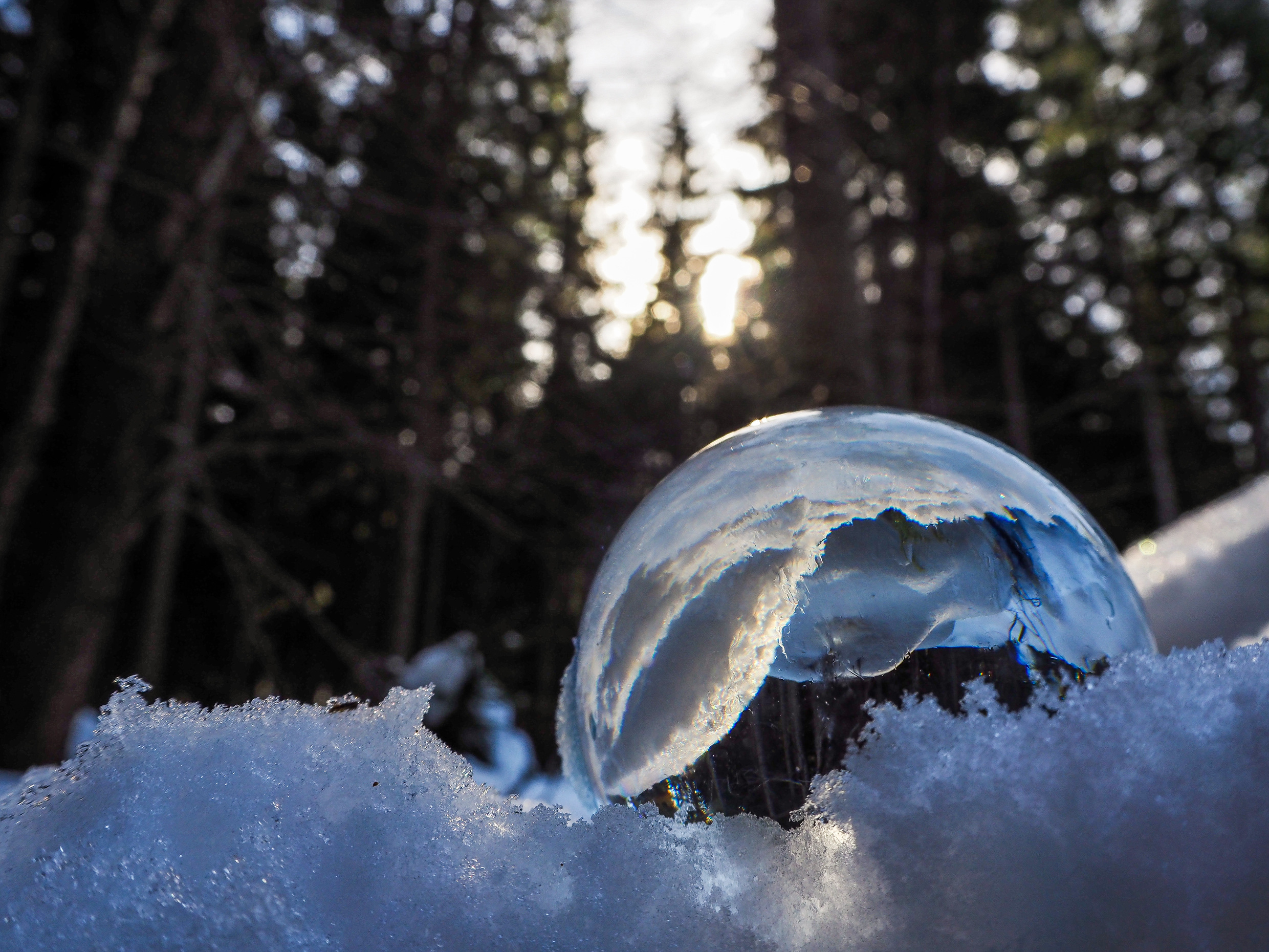 LRM_EXPORT_143955362975496_20190216_140319149.jpeg LRM_EXPORT_143955362975496_20190216_140319149.jpeg