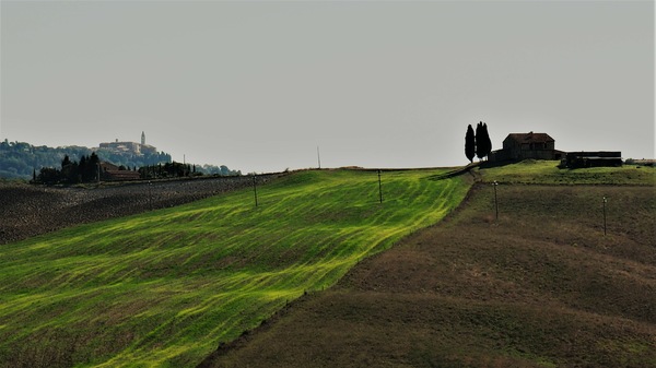 Blick nach Pienza