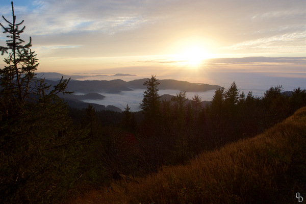 Ein Sonnenuntergang im Schwarzwald