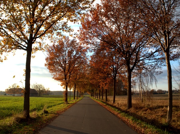 auf dem Weg nach Hause.jpg