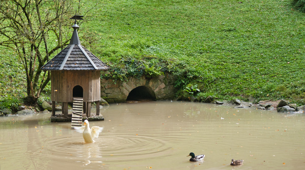 Fremdenbau und  Enten/Gänseteich