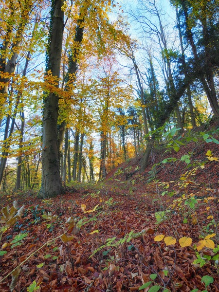 Heuberg