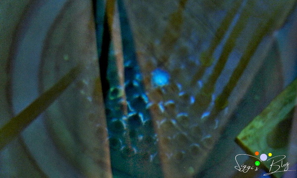 Core