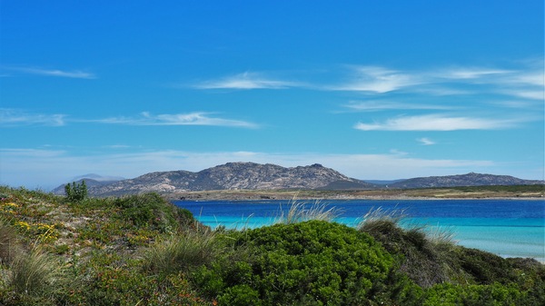 Die Farben von Asinara