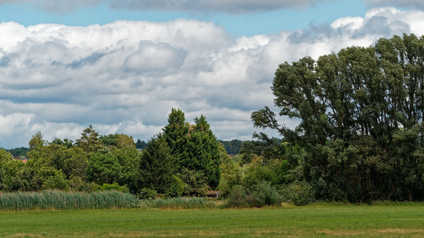 P7050253_DxO.jpg