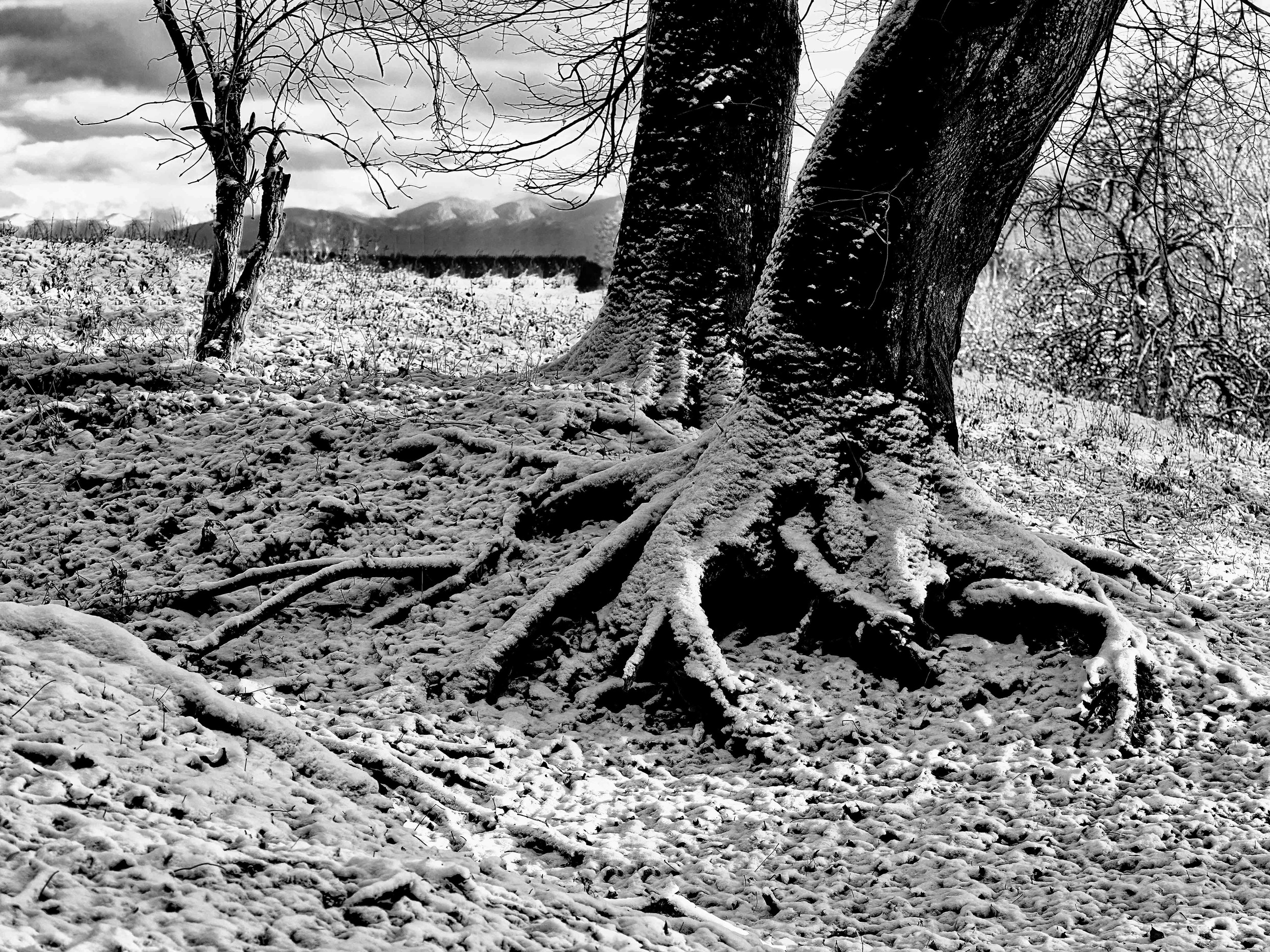 Winterwanderungen 18