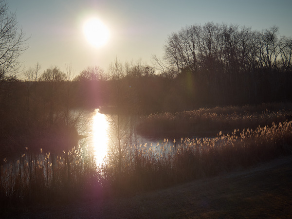 0401963Jan 14 2021.jpg