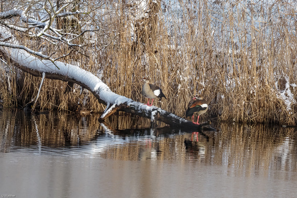 Am anderen Ufer