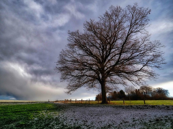 Winterwanderungen 39