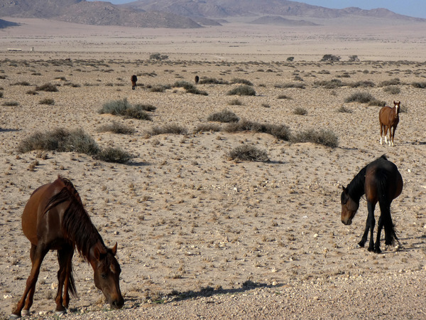 Namibia 09.09.2019 16-56-11.2019 16-56-11-2