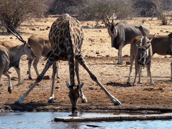 Namibia 18.09.2019 10-37-47.2019 10-37-47-2