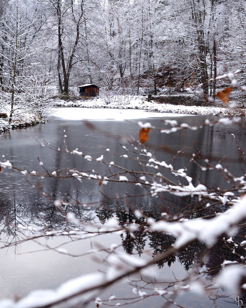 Winterlicher Fischteich