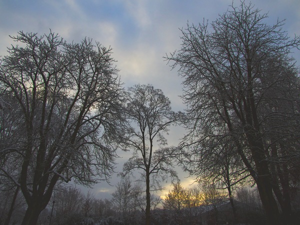 Kleiner Lichtblick