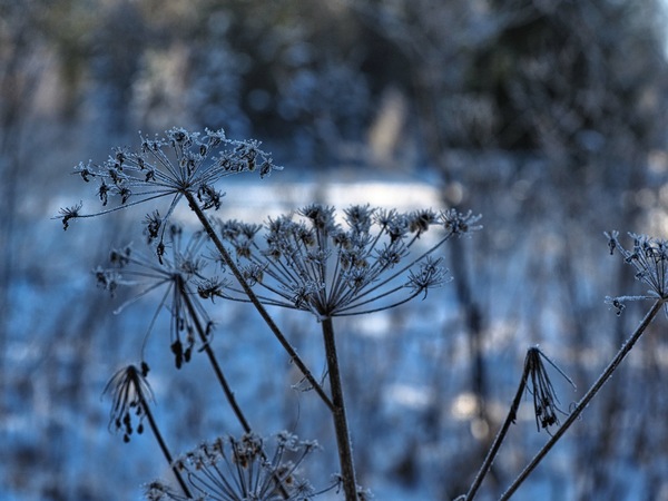 Winterwanderungen 59