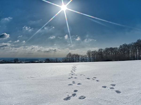 Winterwunderland Münsterland #03