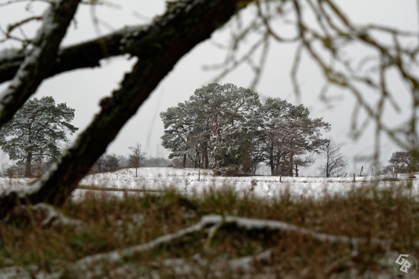 Winterlandschaft 01