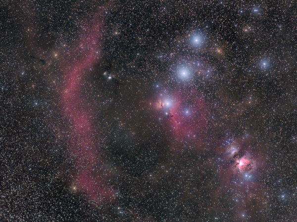 Orion