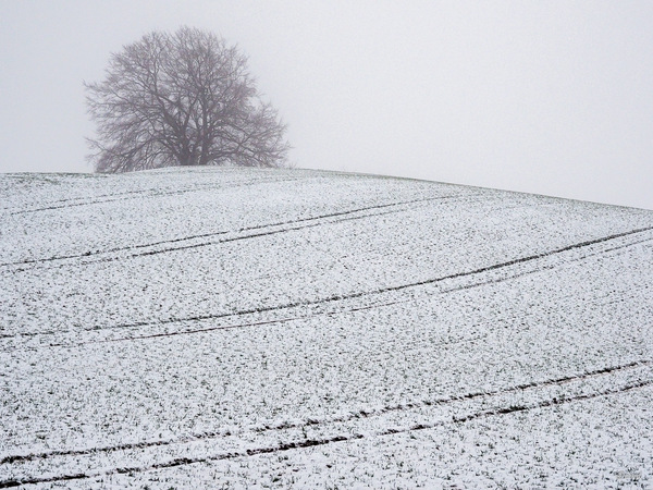 Restschnee