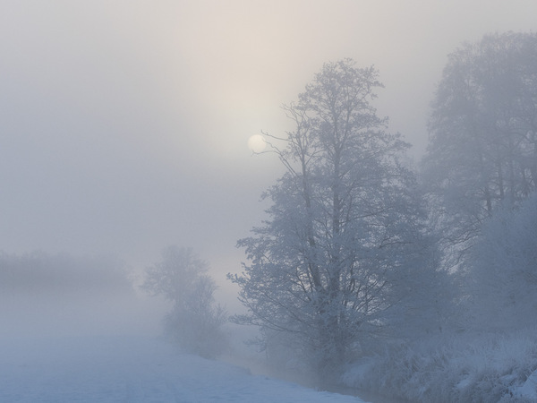 Wintermorgen 2021