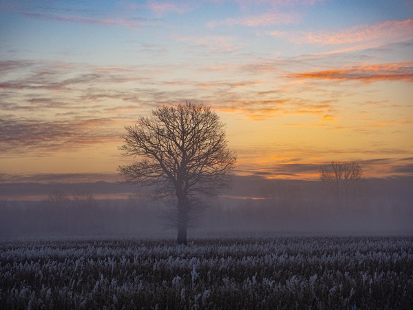 Guten Morgen bei -17°