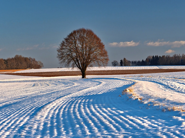 Winter in Oberbayern 9