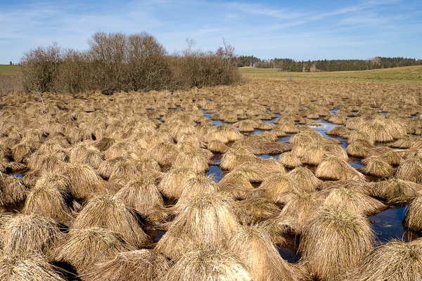 lauter Bobbel