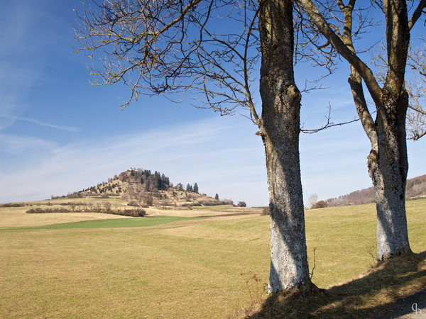 Vorfrühling