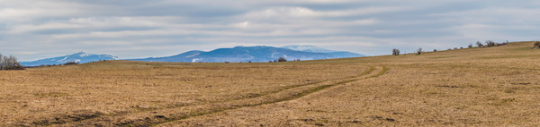 Harzpanorama