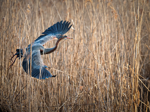 Abflug