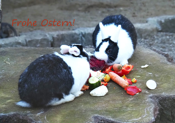 Guten Appetit!
