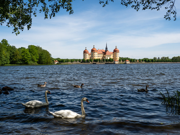 Schloß Moritzburg