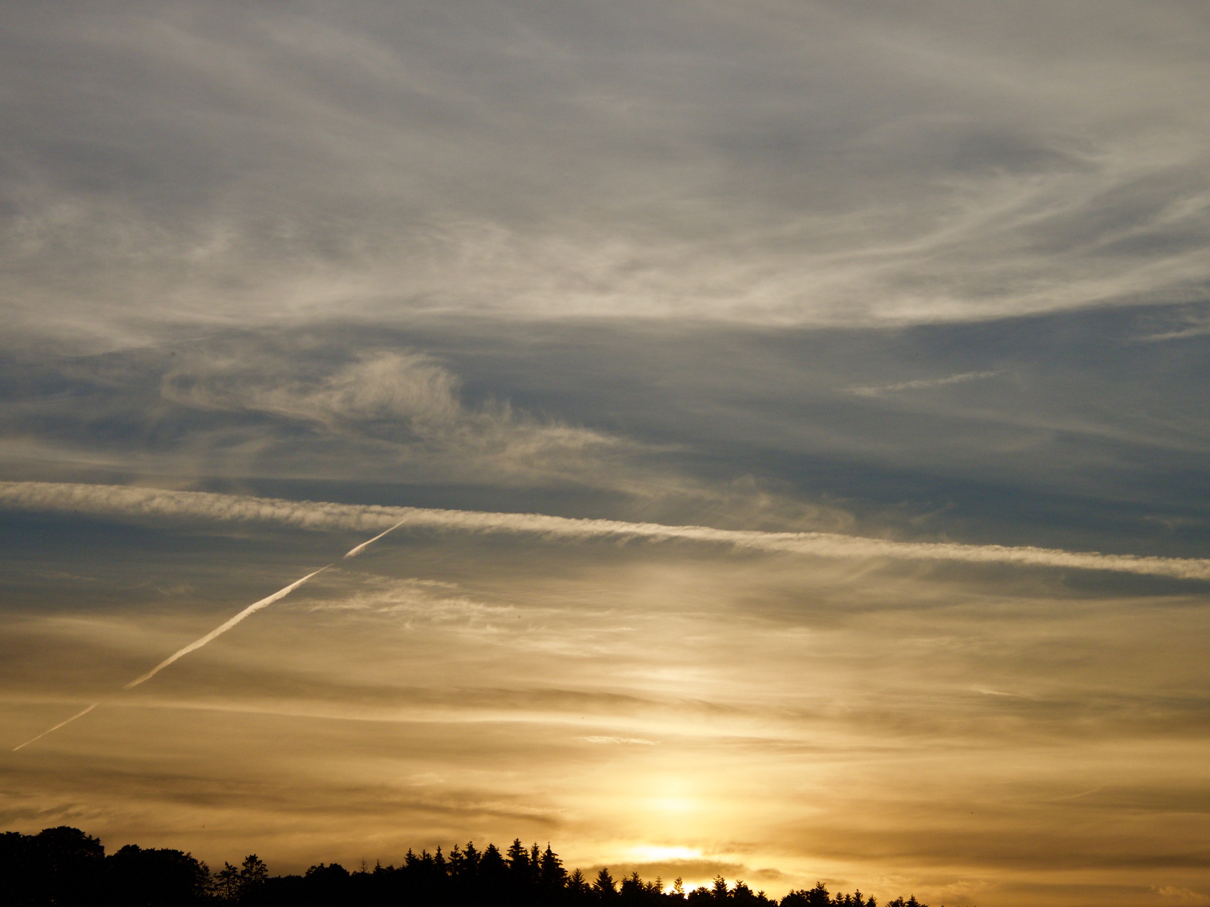 Goldblau... Goldblau...
