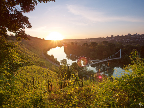 Sonnenaufgang am Neckar