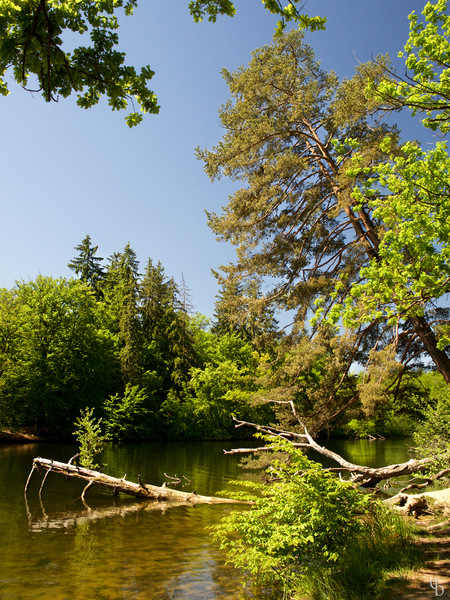 Wildpark