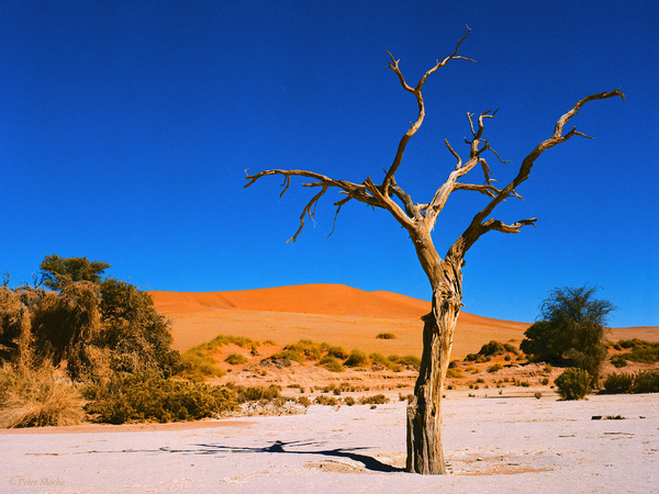Namib-Im Sossusvlei 2.jpg