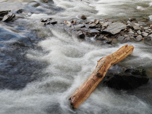 Holzstück.JPG