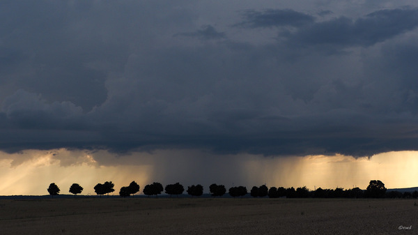 Regen kommt