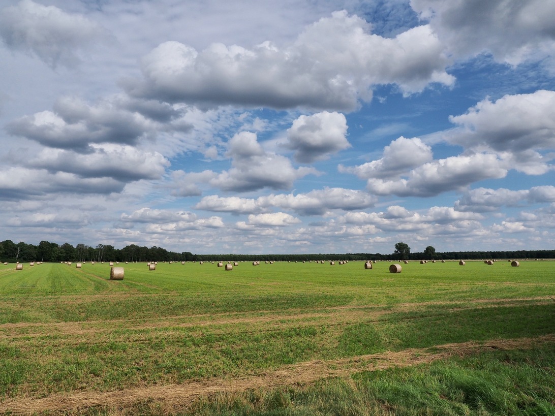 Feld Uckermark.jpg