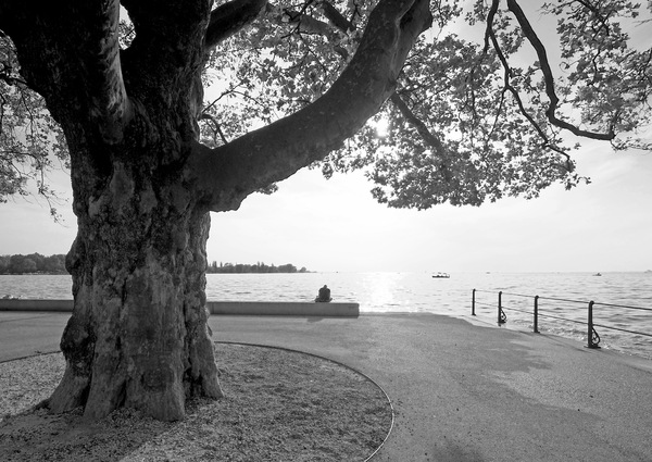 Bregenz.jpg