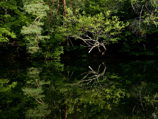 Ein Spiegelei