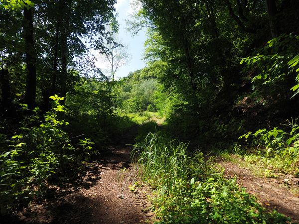 Der Eingang zum ehemaligen Steinbruch