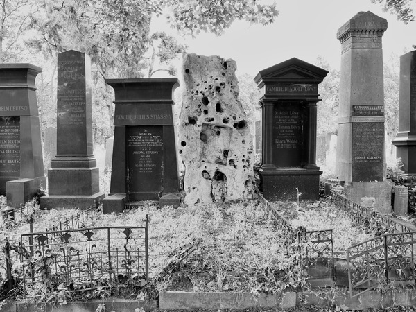 Zentralfriedhof Wien