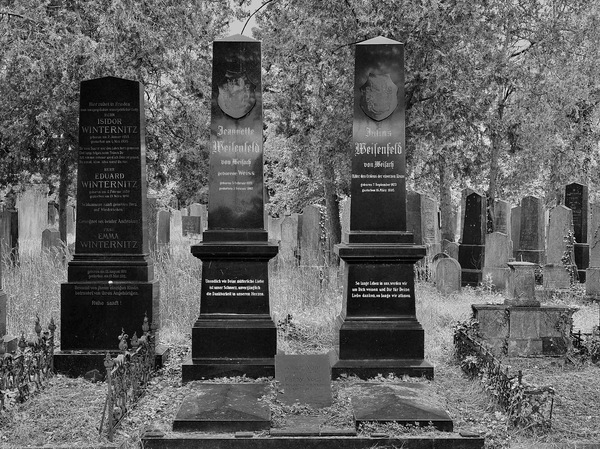 Zentralfriedhof Wien II
