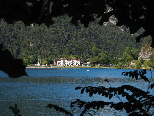 Ledrosee
