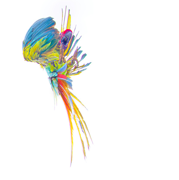 nicht wirklich scharf -