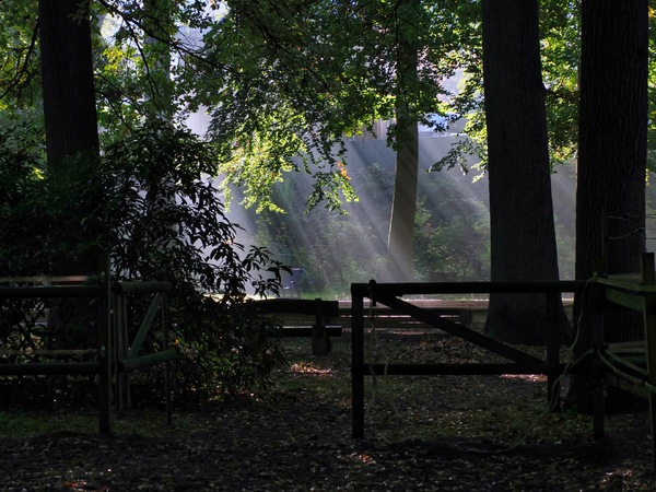 03-Aumühle Strahlung