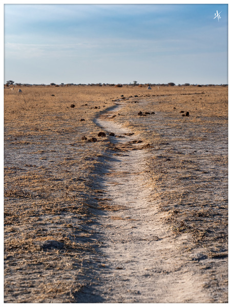 In die Landschaft getreten